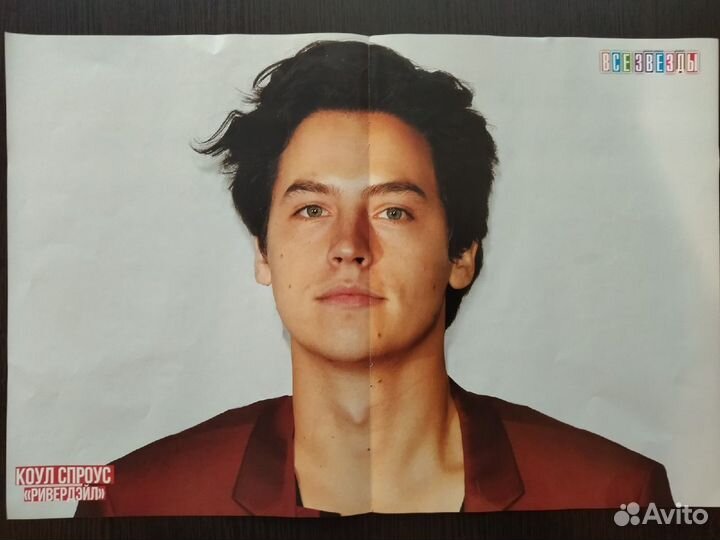 Плакаты / постеры из журнала 