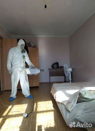 Средство для Уничтожения клопов тараканов плесени клещей