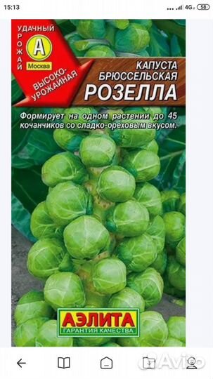 Рассада капусты