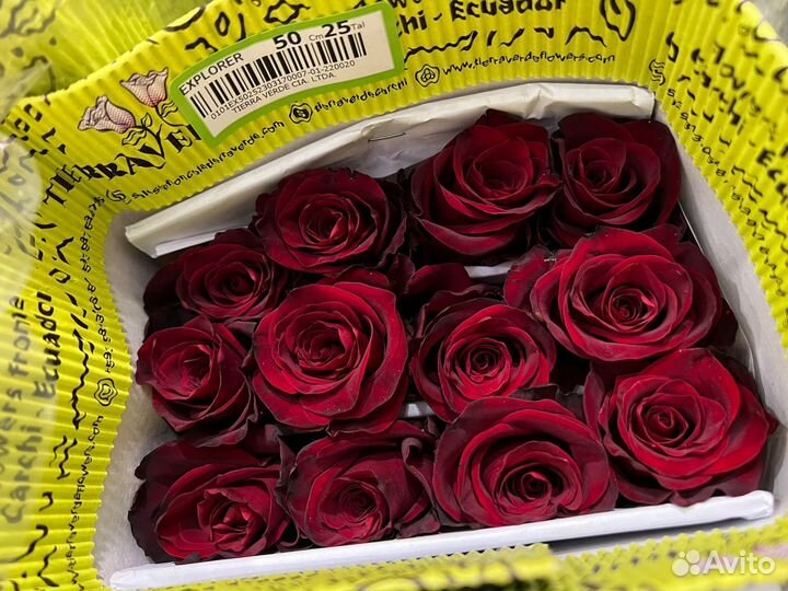 Цветы оптом в наличии,склад в Астрахани. Прайс