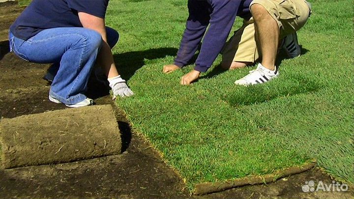 Теневой рулонный газон под ключ