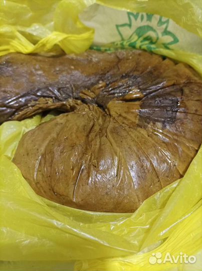 Жвачка кедровой живицы