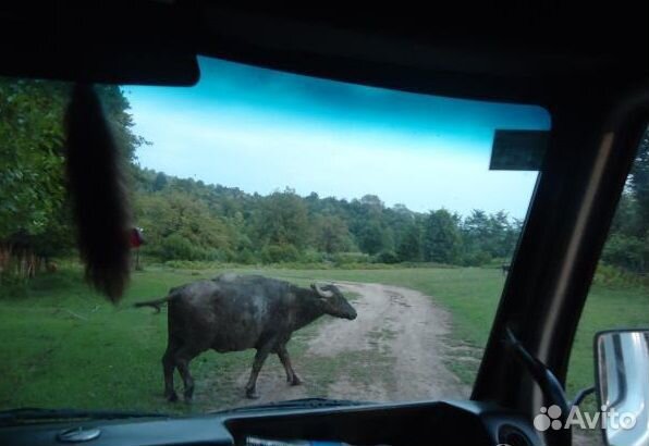 Абхазия -все включено