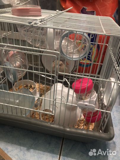 Хомяки джунгарики с клеткой