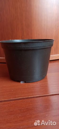 Горшки для рассады