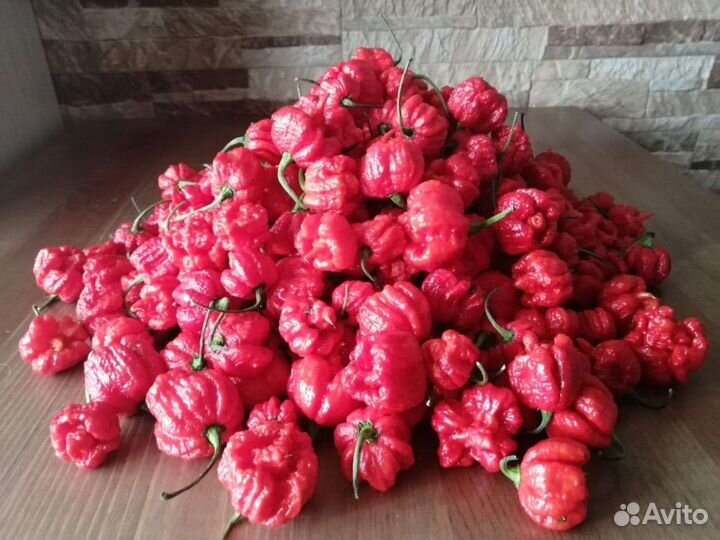 Сёмена суперострых перцев 10шт