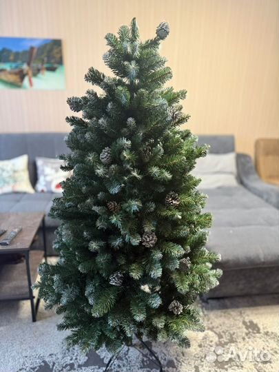 Ель императорская заснеженная 185 см