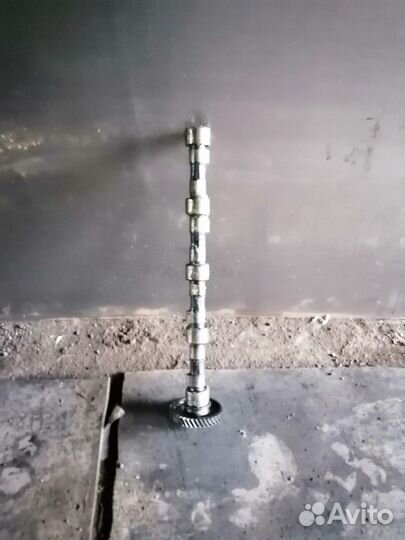 Распред вал д 245