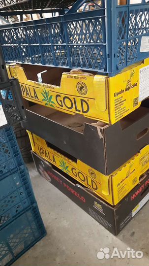 Пластиковые ящики бу