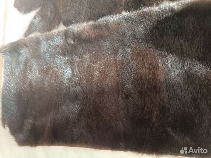Шкурки норки