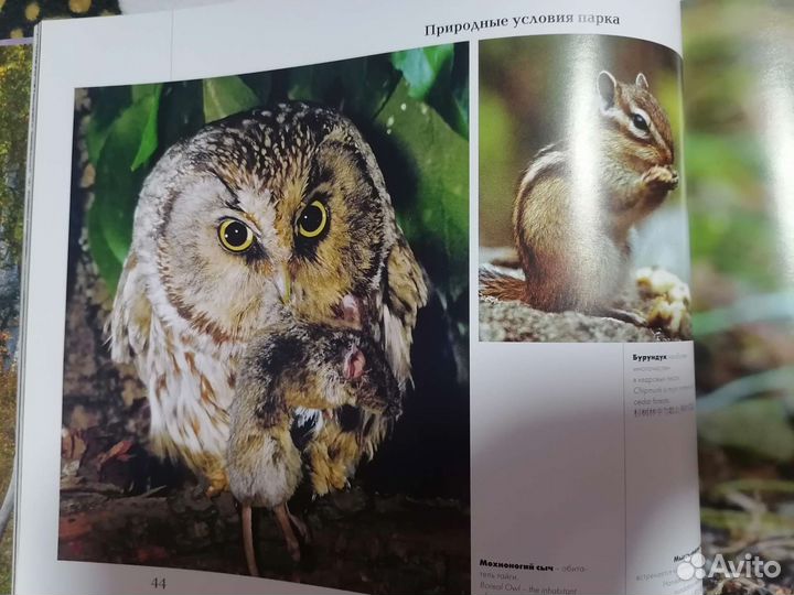 Книга. Природа прибайкалья