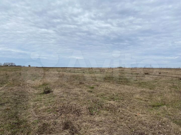 Участок 17,2 сот. (СНТ, ДНП)