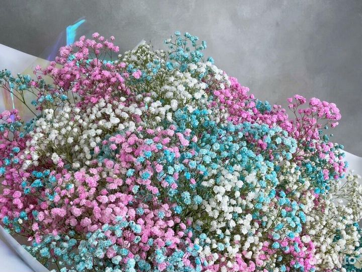 Гипсофила Доставка цветов букеты