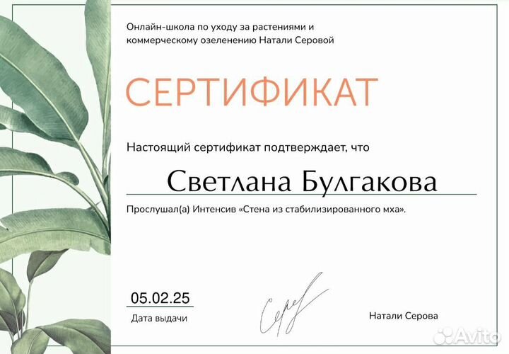 Декор из стабилизированного мха