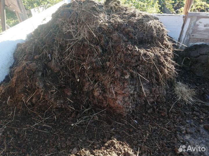 Навоз коровий