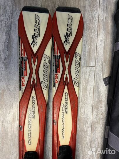 Горные лыжи