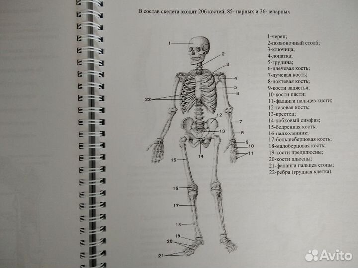 Методическое пособие Классическая аэробика