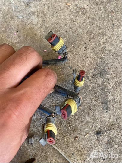 Гбо диджитроник