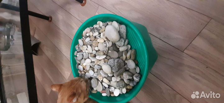 Аквариум 180л