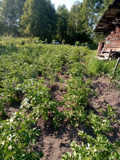 Дача 25 м² на участке 8 сот.