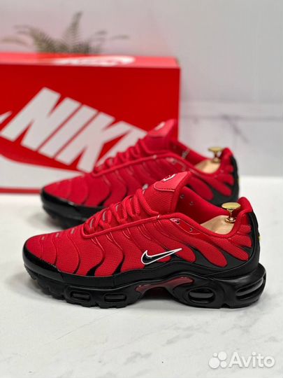 Кроссовки nike TN plus