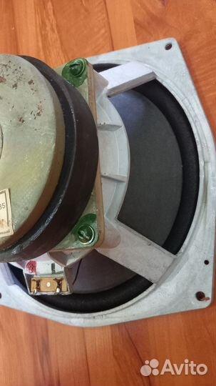 Динамик 70 гдн