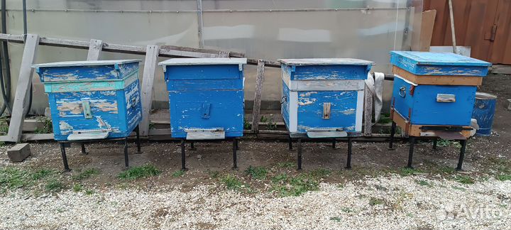 Продам улья для пчёл