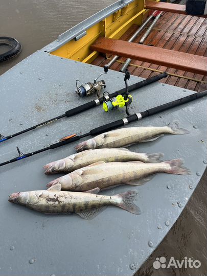 Казанка М с булями