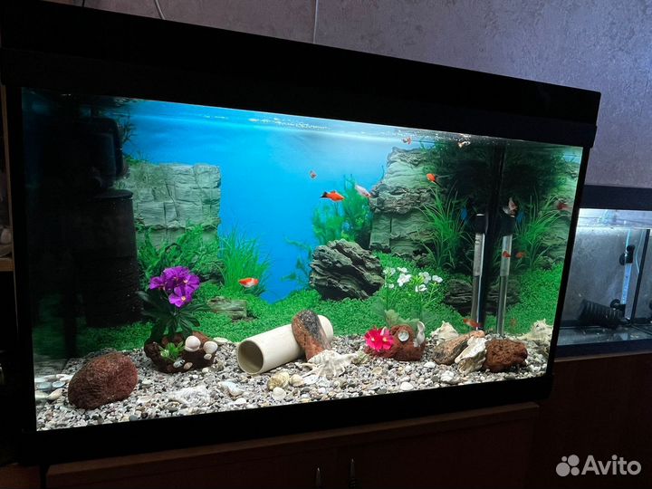 Аквариум полный комплект с рыбками