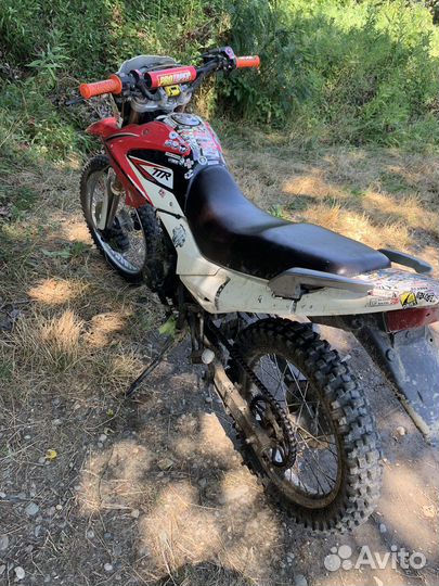 TTR 250
