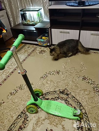 Самокат детский