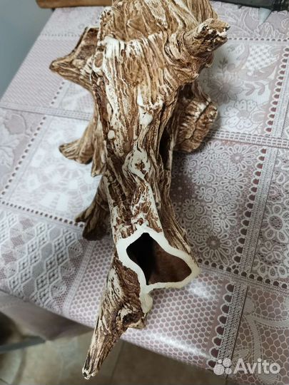 Коряги для аквариума