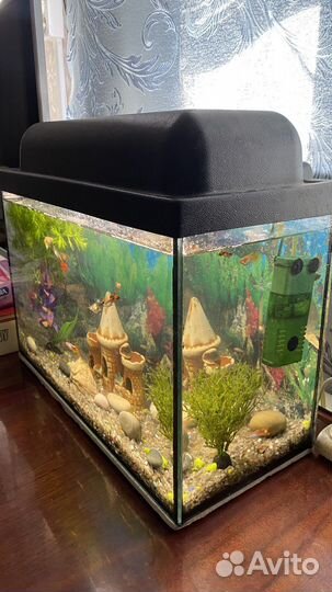Аквариум и рыбки