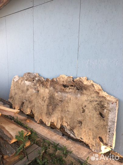 Слэб тополя