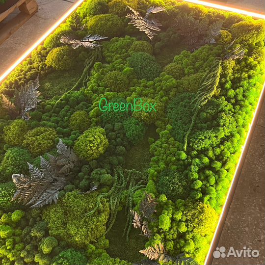 Панно из мха с подсветкой