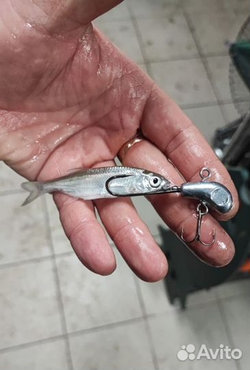 Снасть Под Тюльку на Судака