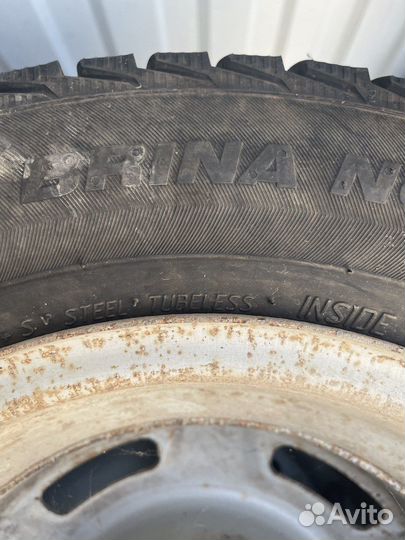GT Radial Champiro BXT Pro 175/70 R13