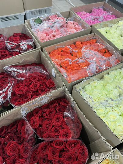 Розы букеты