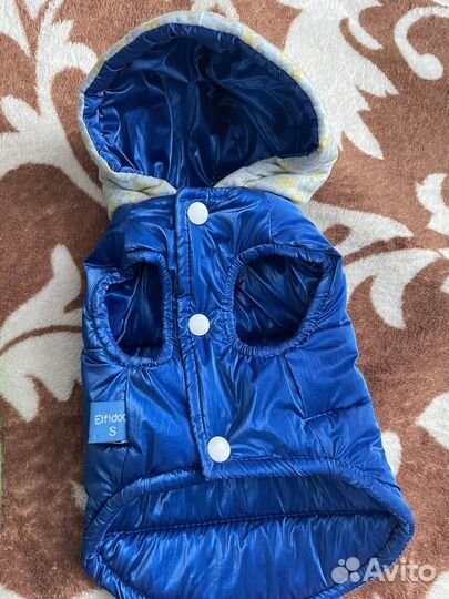 Одежда для маленьких пород собак