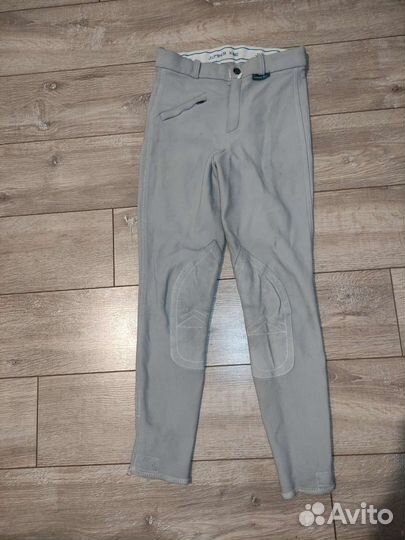 Бриджи для конного спорта