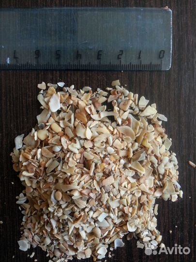 Ракушка кормовая