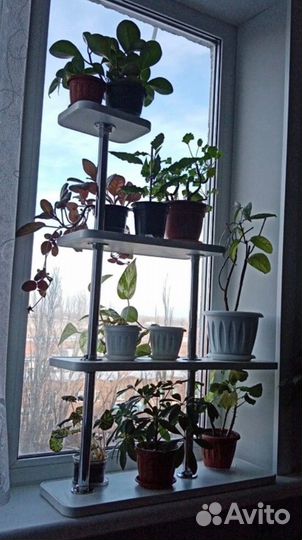 Цветочные полки