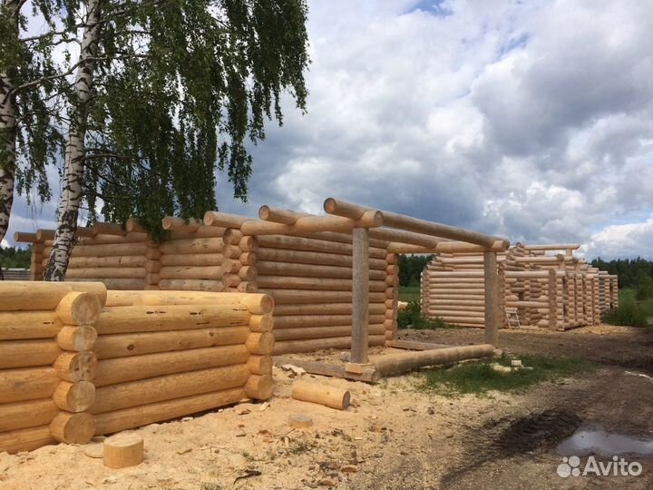 Срубы дома бани Тверские