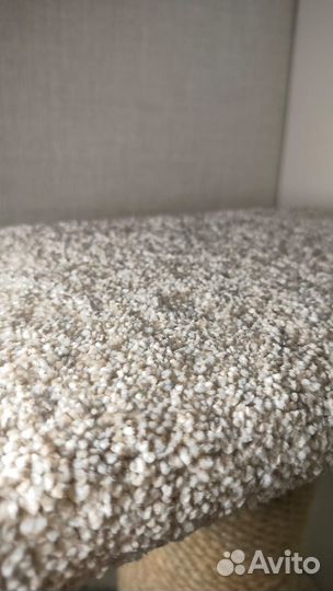 Когтеточка для кошек новая