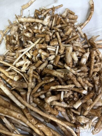 Гидролат корней одуванчика