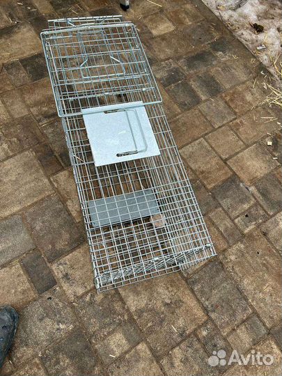 Клетка для ловли животных