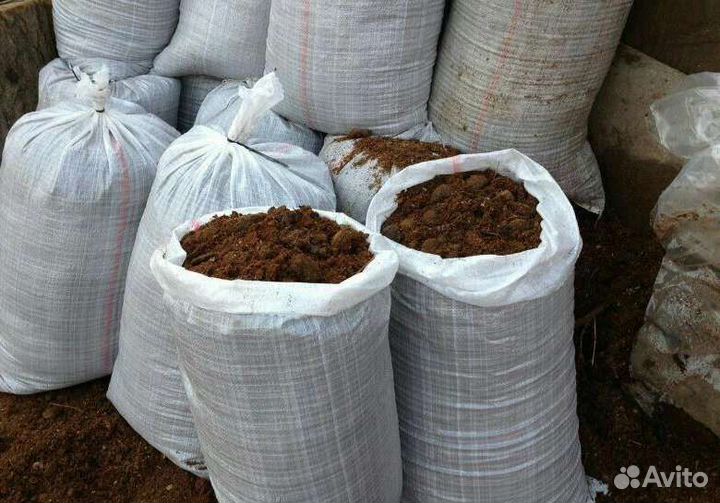 Конский навоз