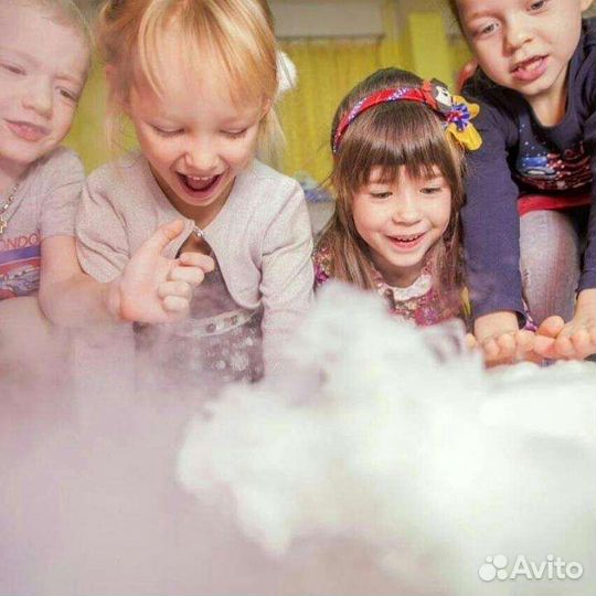 Фокусник Звери Пена Аниматоры разные Шоу для детей