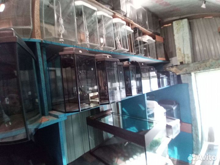 Аквариум на заказ