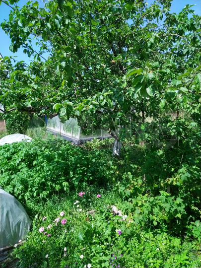 Дом 58,2 м² на участке 7,4 сот.